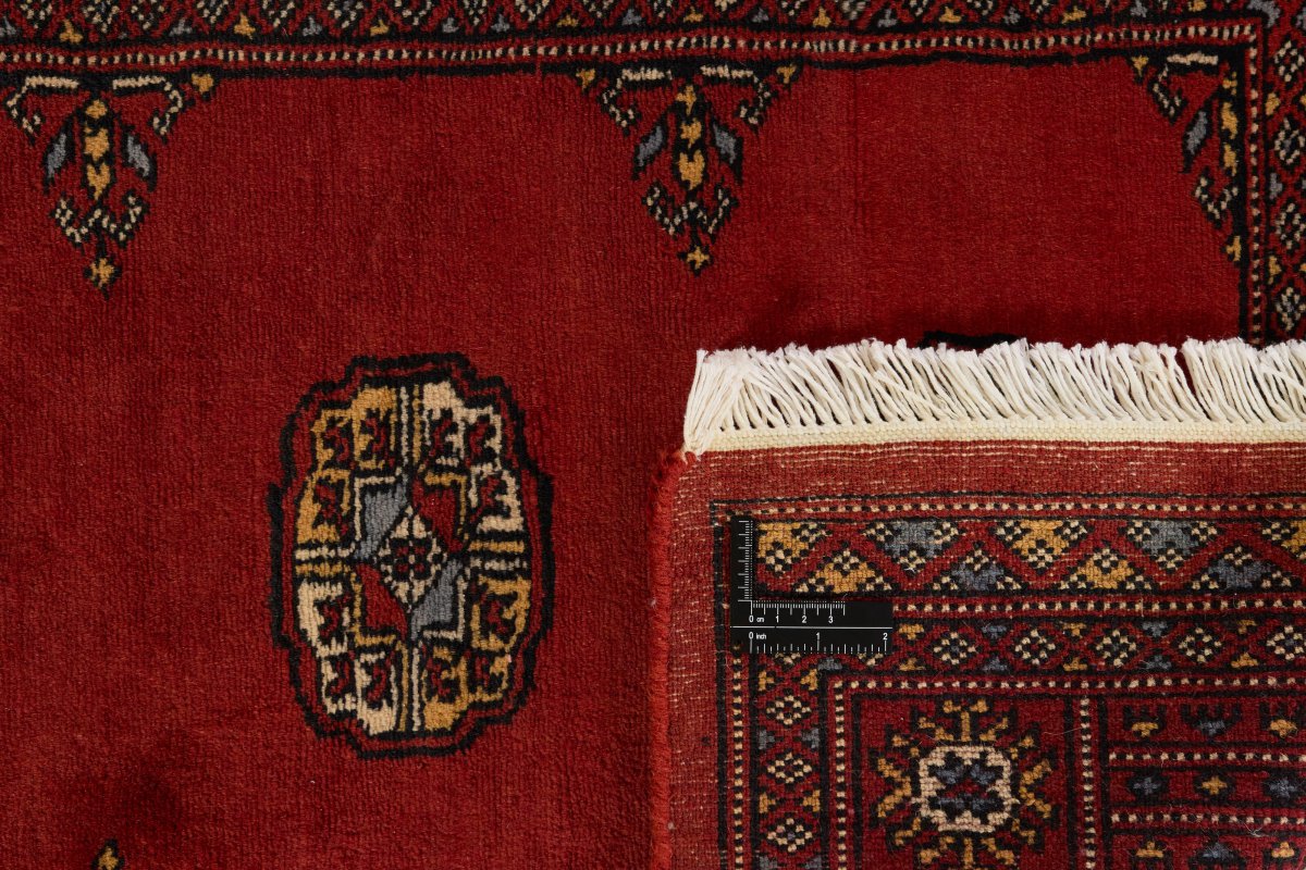 Pakistan Buchara 3Ply - 1