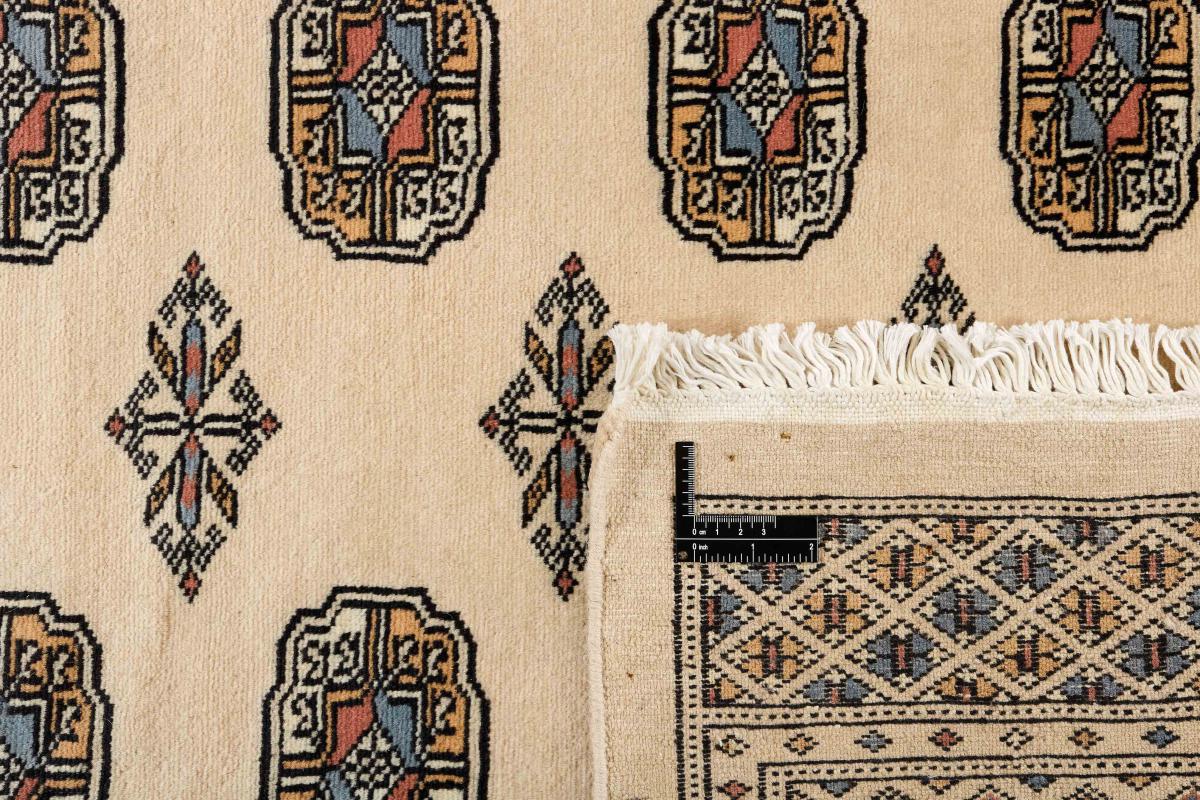 Pakistan Buchara 2ply - 1