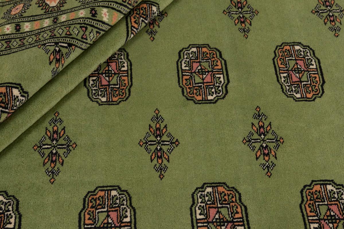 Pakistan Buchara 2ply - 1