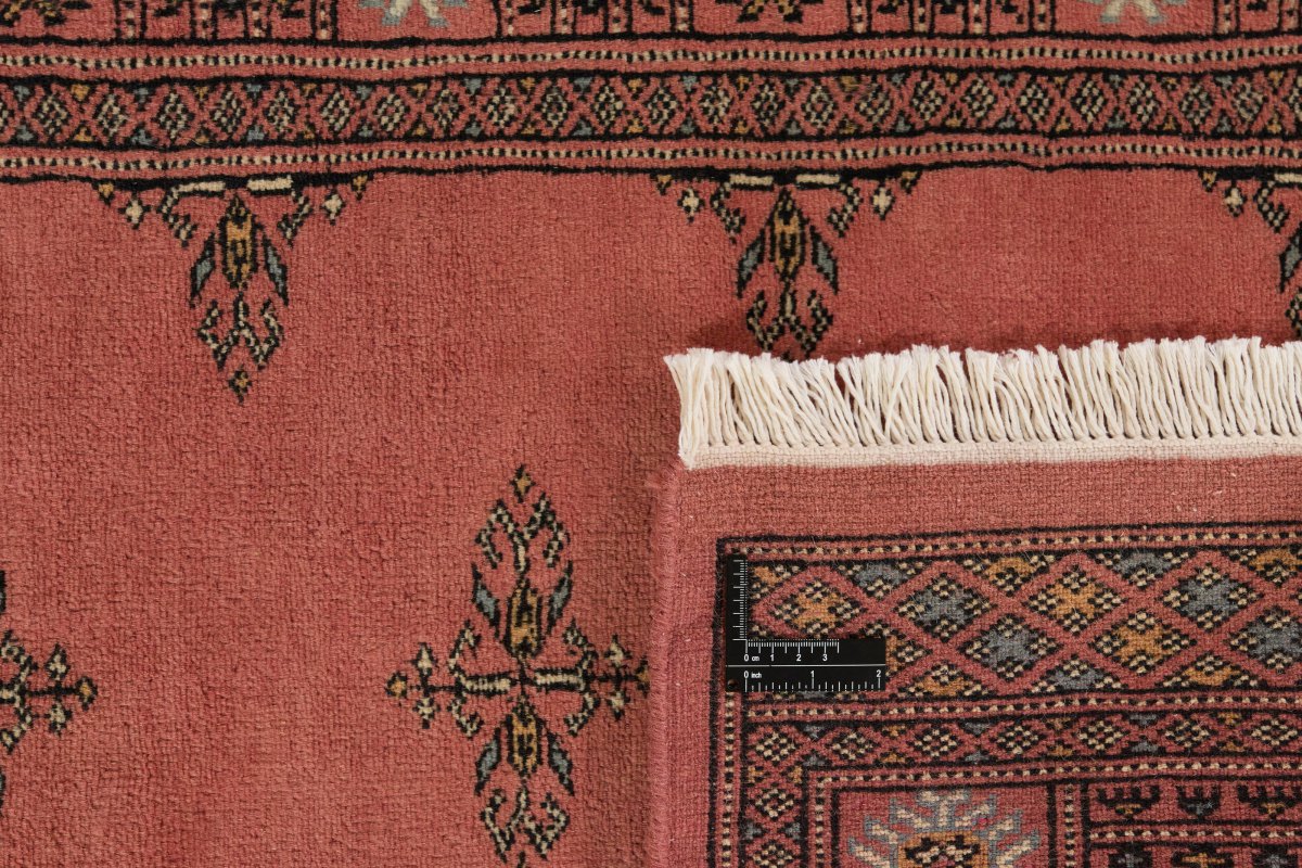 Pakistan Buchara 3Ply - 1