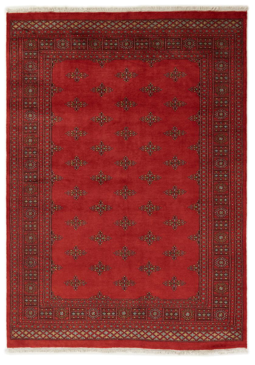 Pakistaans tapijt Pakistan Buchara 2ply 240x171 240x171, Perzisch tapijt Handgeknoopt