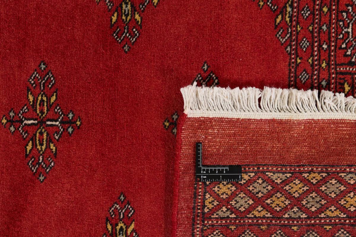 Pakistan Buchara 2ply - 1