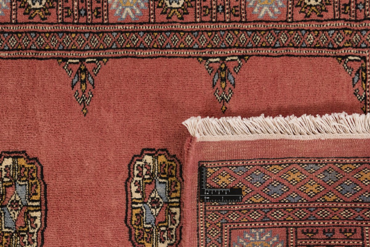 Pakistański Buchara 3Ply - 1