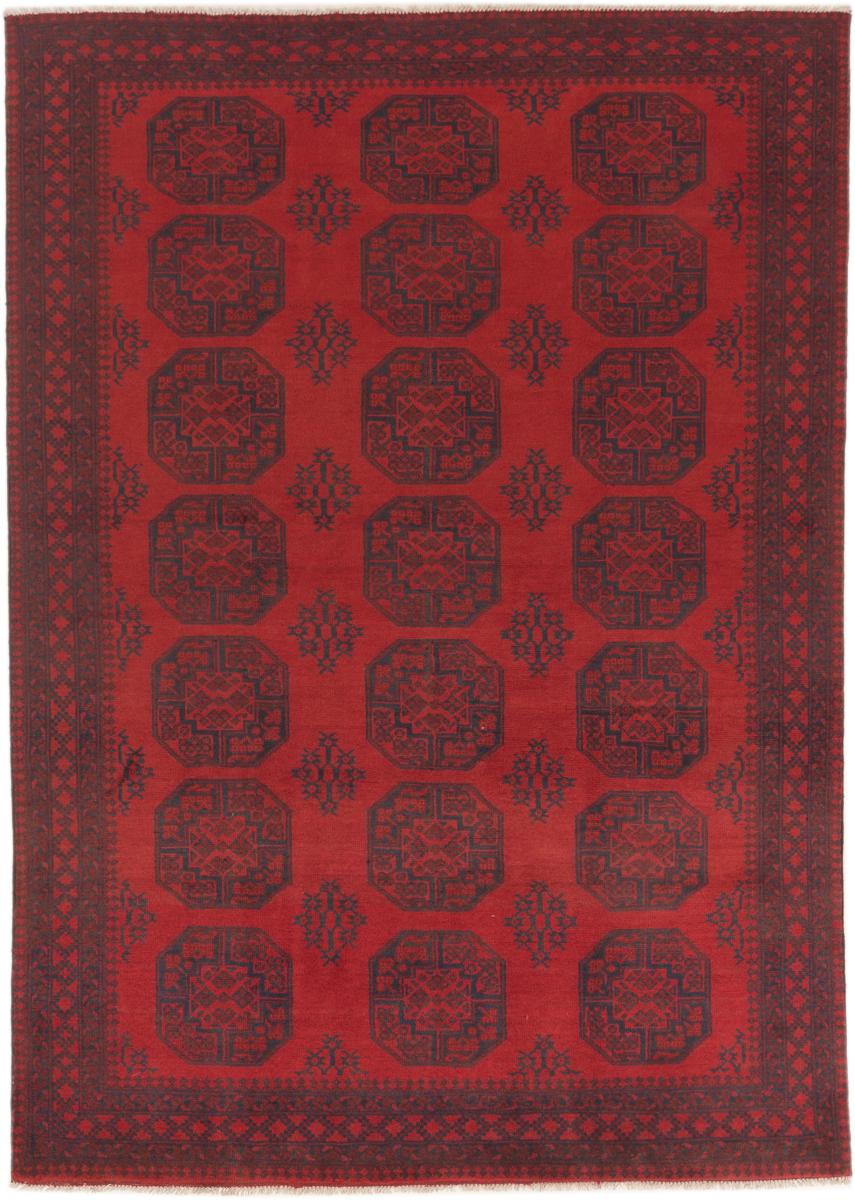 Tapete afegão Afegão Akhche 241x169 241x169, Tapete persa Atado à mão