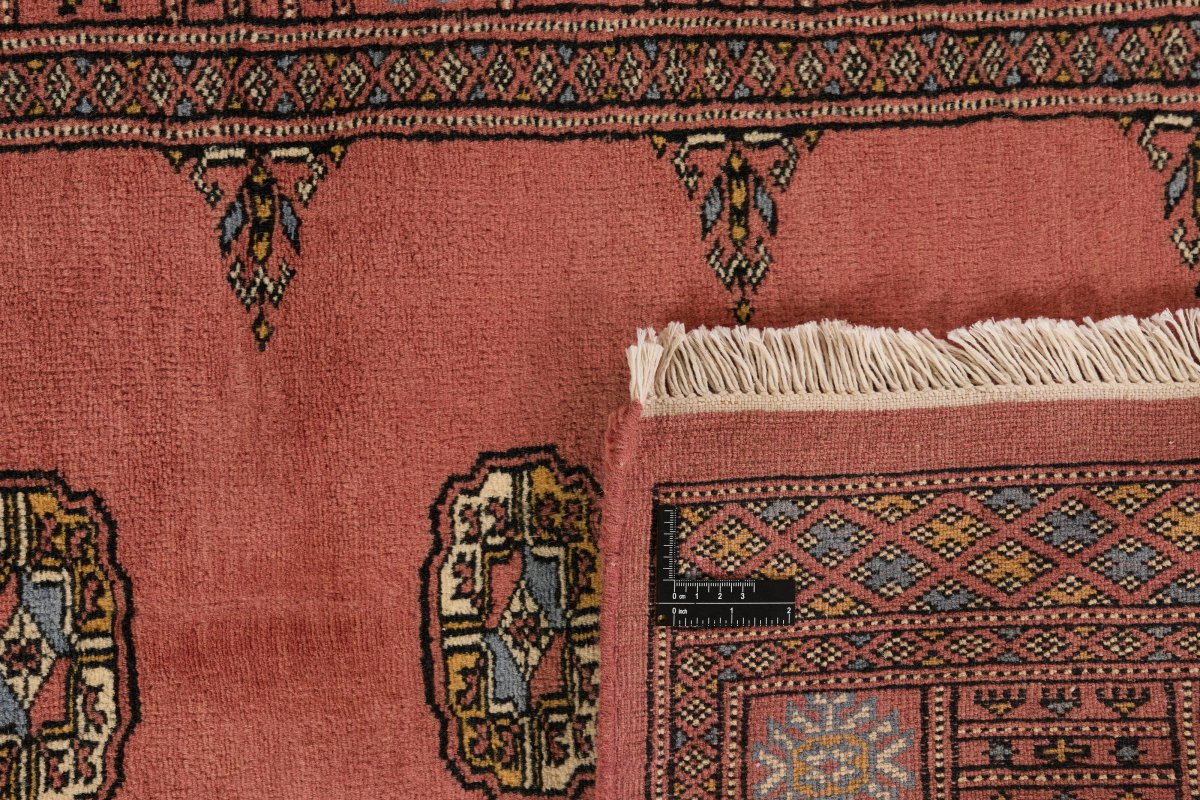 Pakistan Buchara 3Ply - 1
