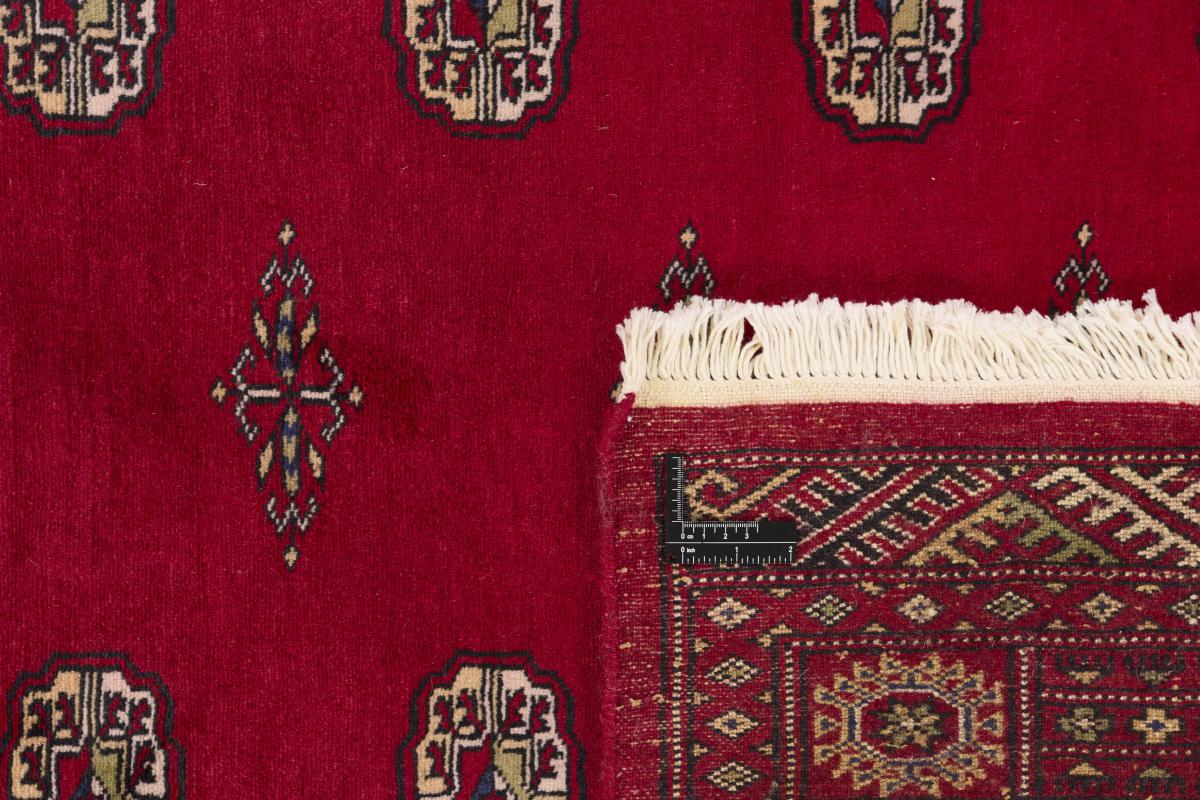 Pakistan Buchara 2ply - 1
