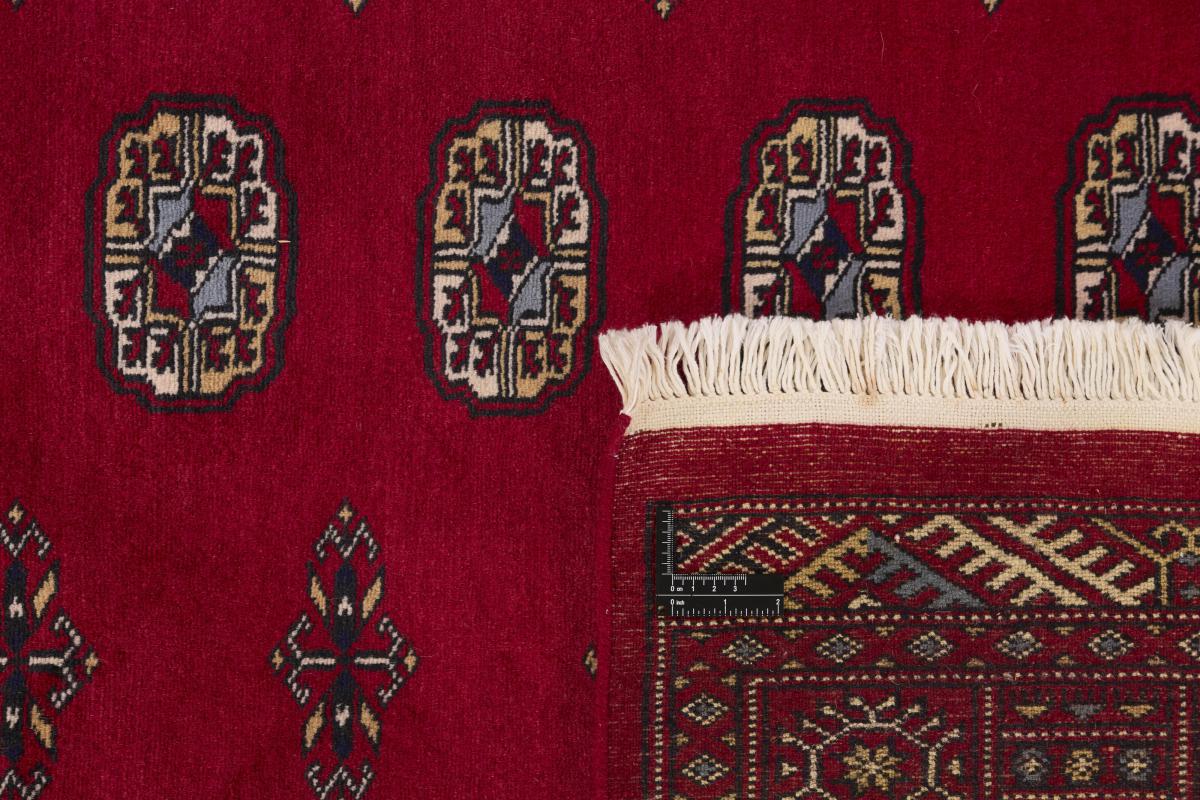 Pakistan Buchara 2ply - 1