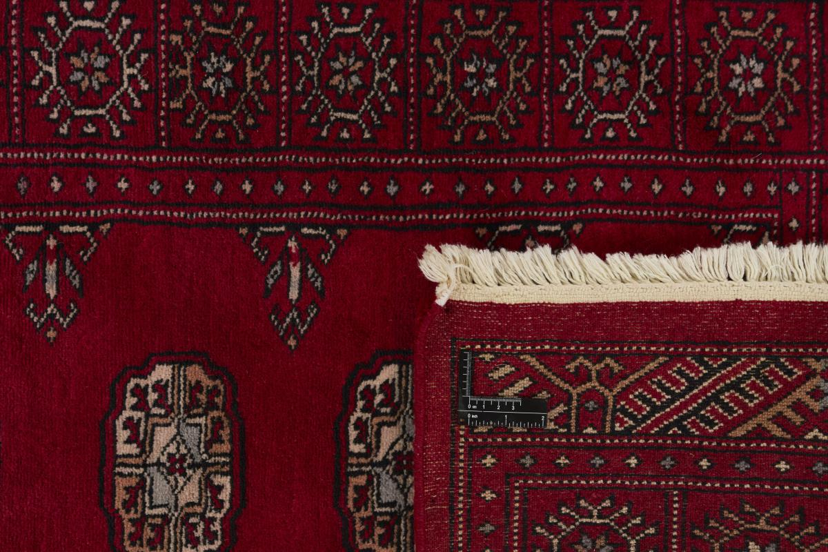 Pakistan Buchara 3ply - 1