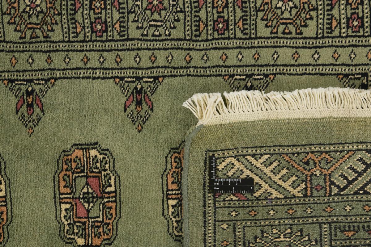 Pakistan Buchara 3ply - 1