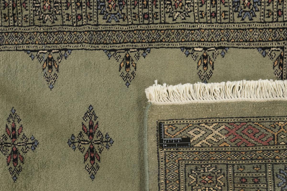 Pakistan Buchara 3ply - 1