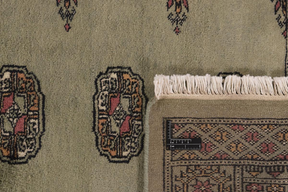Pakistan Buchara 3ply - 1