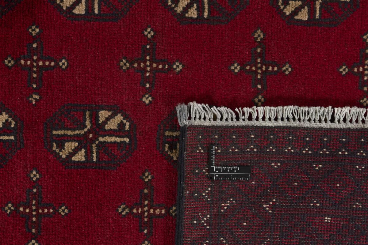 Afghan Akhche - 1
