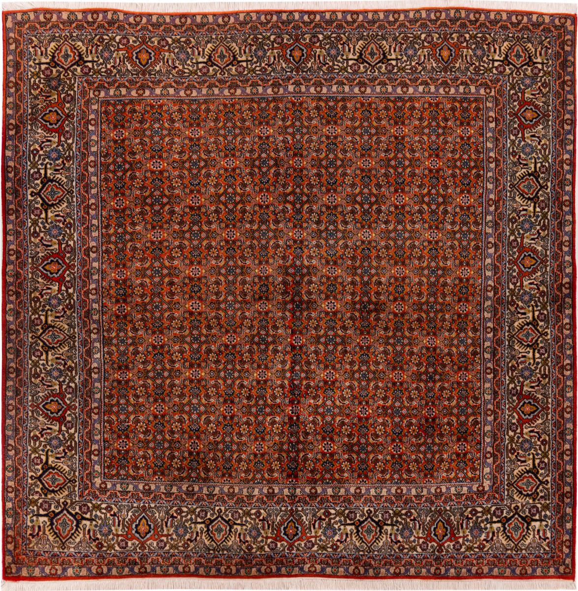 Alfombra persa Bidjar 190x191 190x191, Alfombra persa Anudado a mano