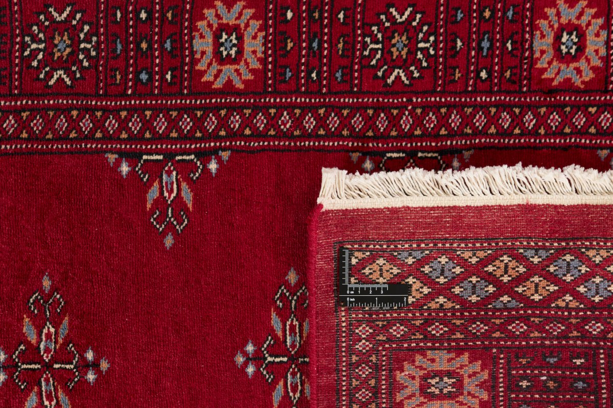 Pakistan Buchara 3Ply - 1