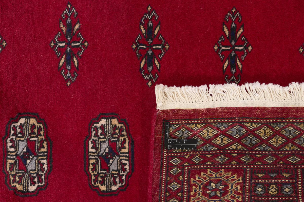 Pakistan Buchara 2ply - 1