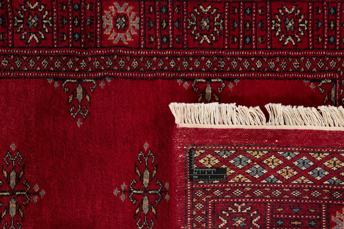 Pakistan Buchara 3Ply - 1