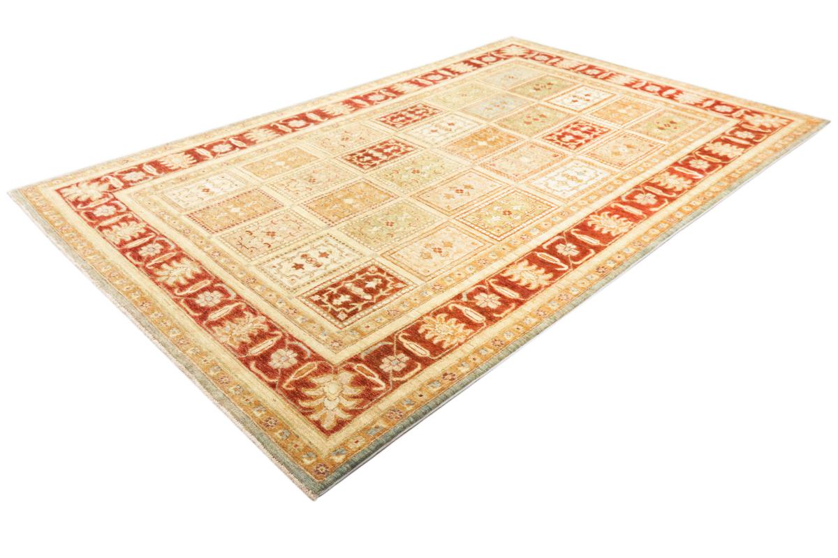 Ziegler Farahan - 1