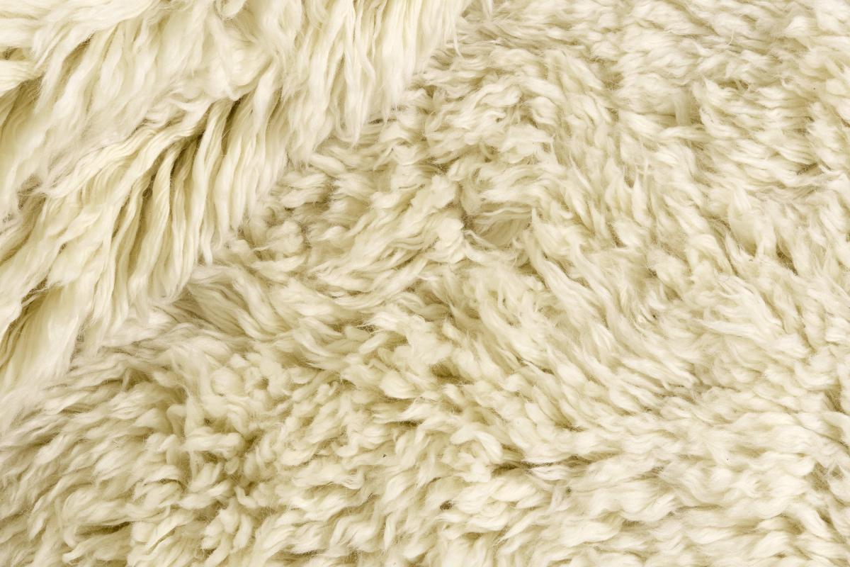 Berber Blanc - 1