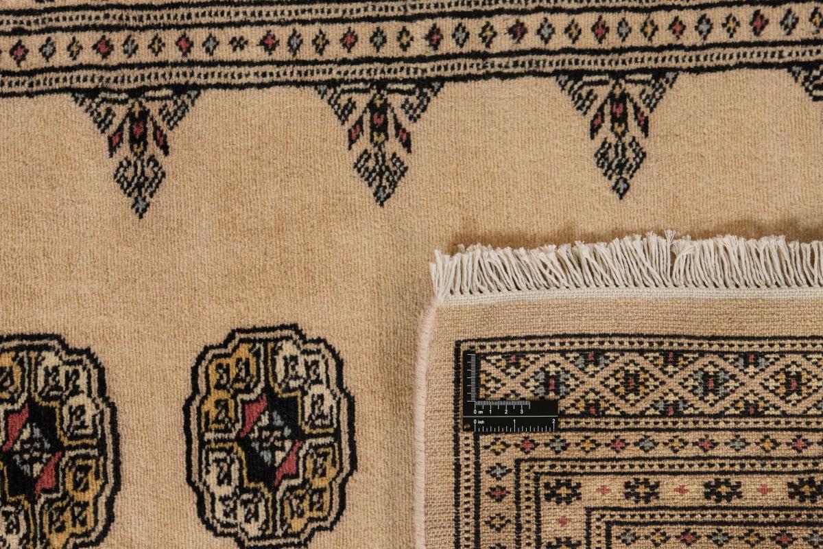 Pakistan Buchara 2ply - 1
