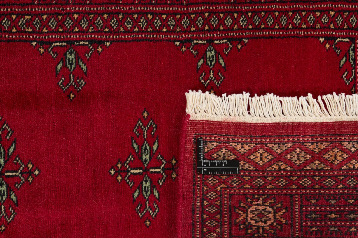 Pakistan Buchara 3Ply - 1