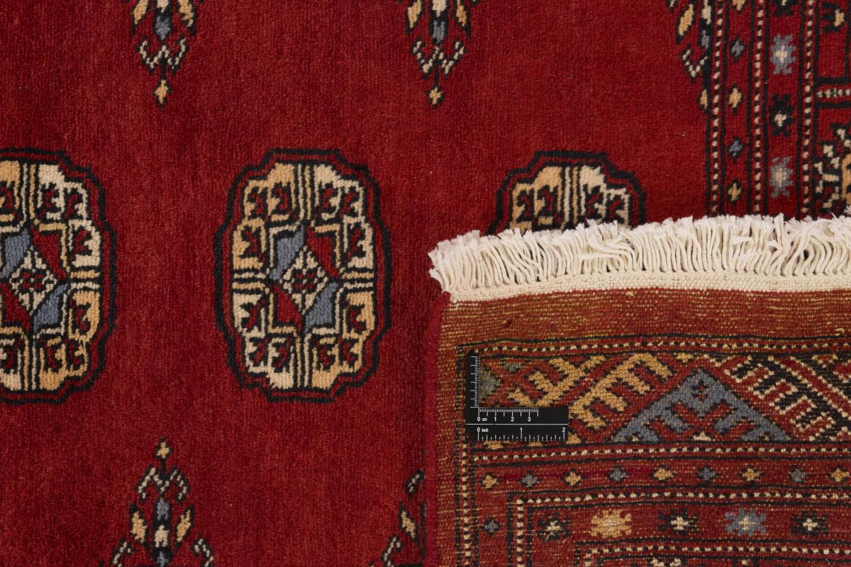 Pakistan Buchara 2ply - 1