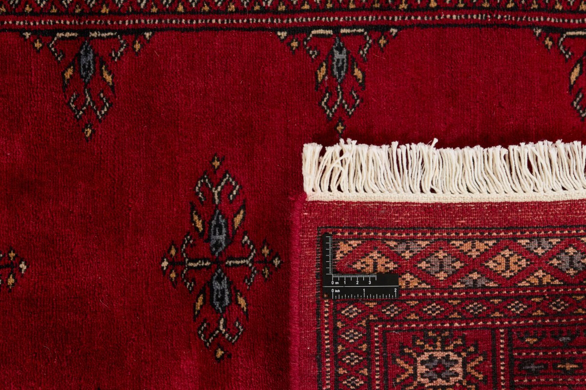 Pakistański Buchara 3Ply - 1