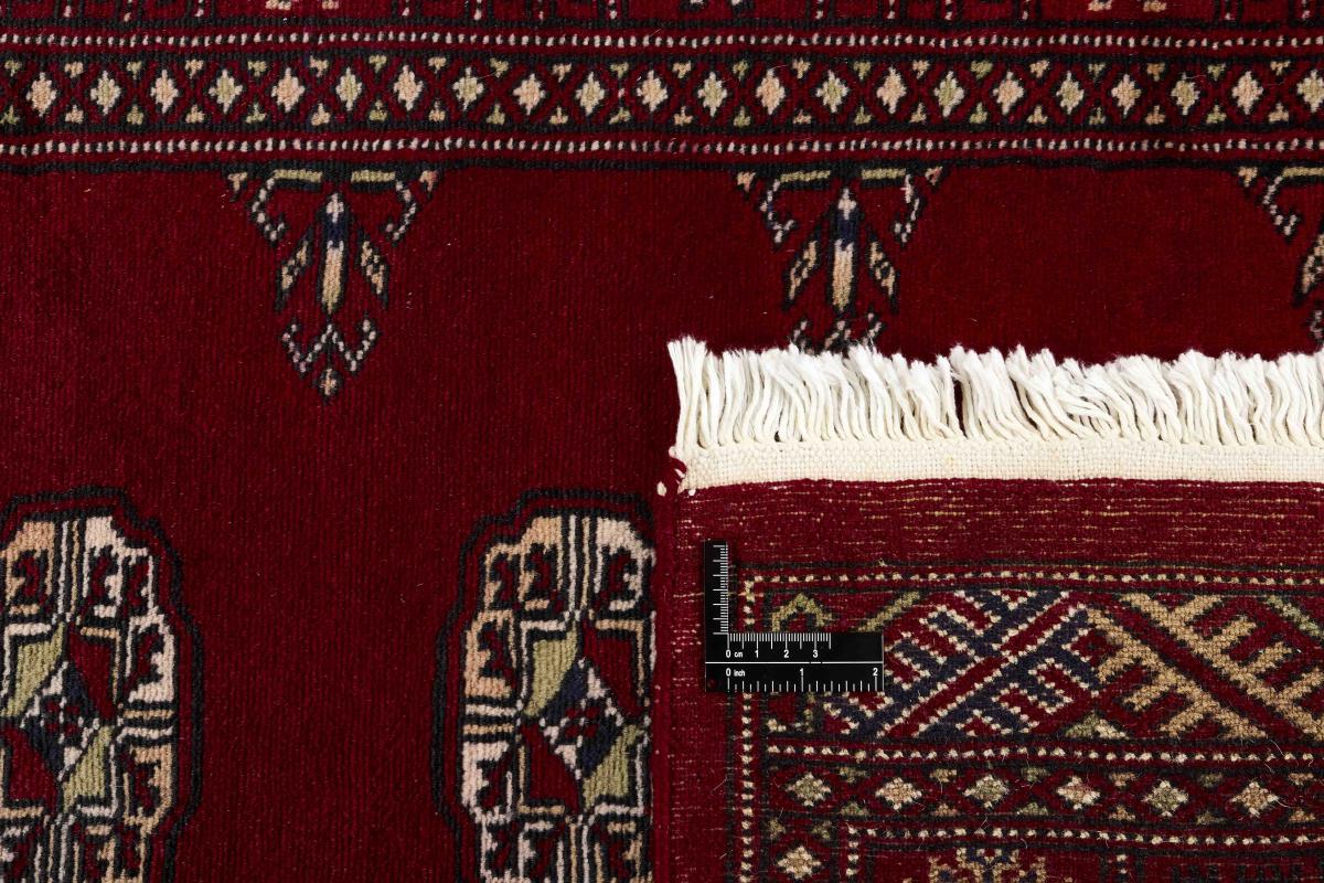 Pakistan Buchara 2ply - 1