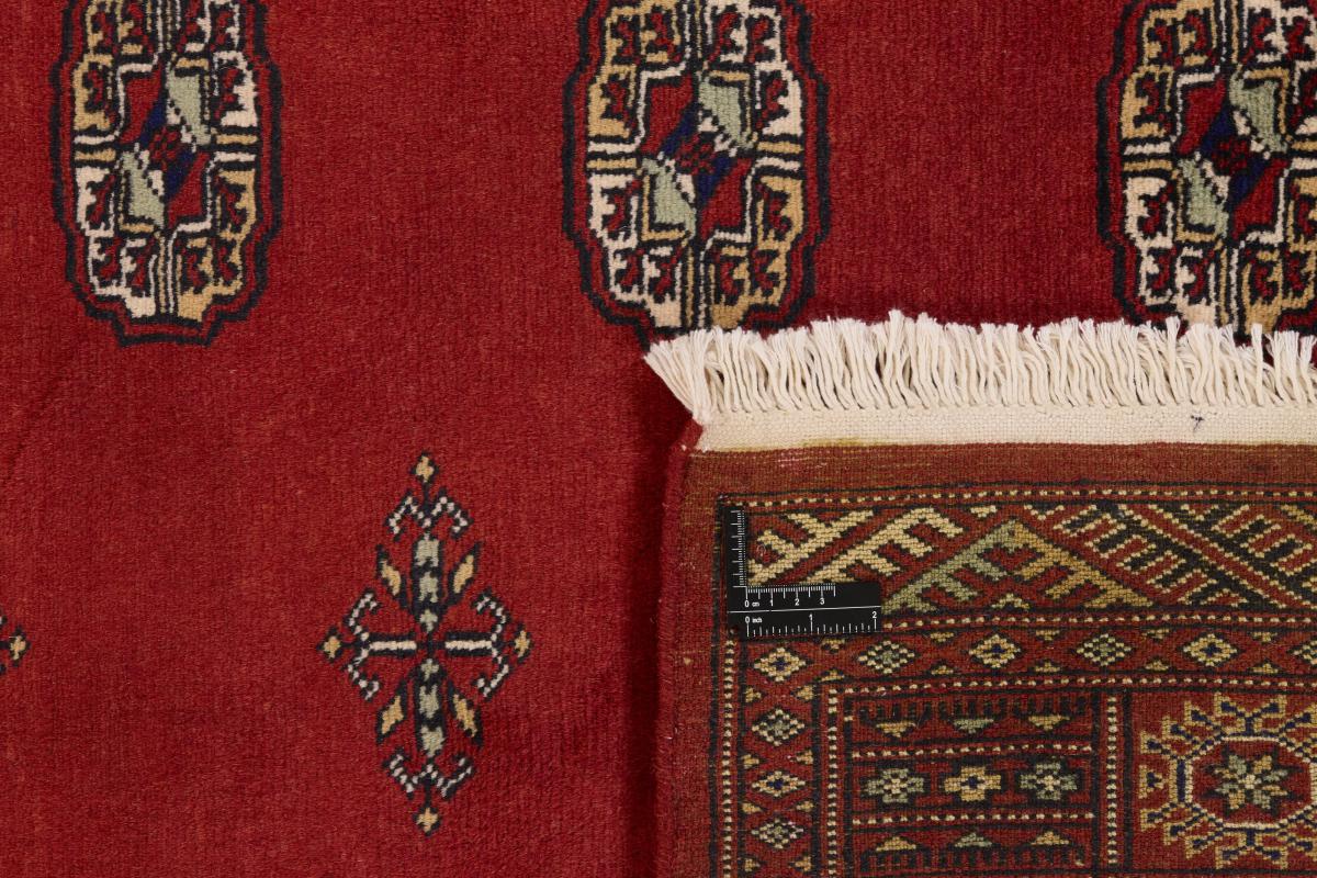 Pakistan Buchara 2ply - 1