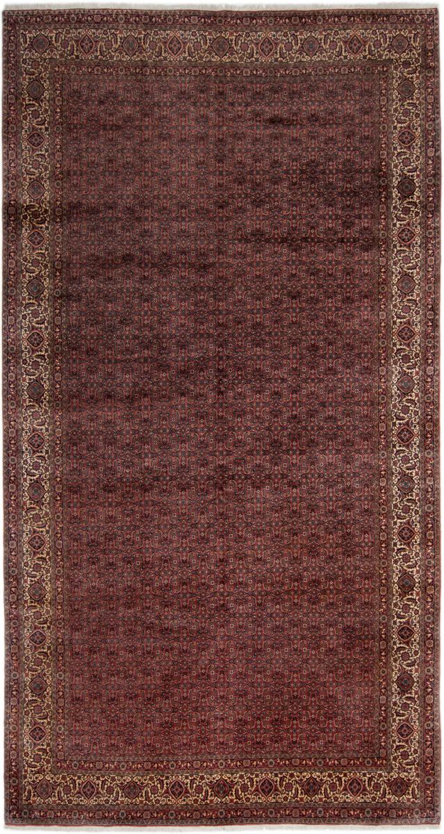 Περσικό χαλί Bidjar 481x255 481x255, Περσικό χαλί Οι κόμποι έγιναν με το χέρι