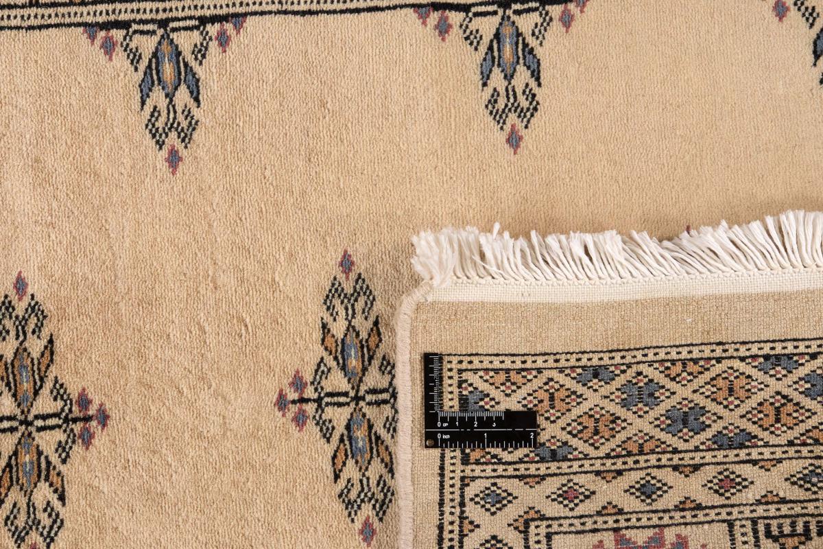 Pakistan Buchara 3ply - 1