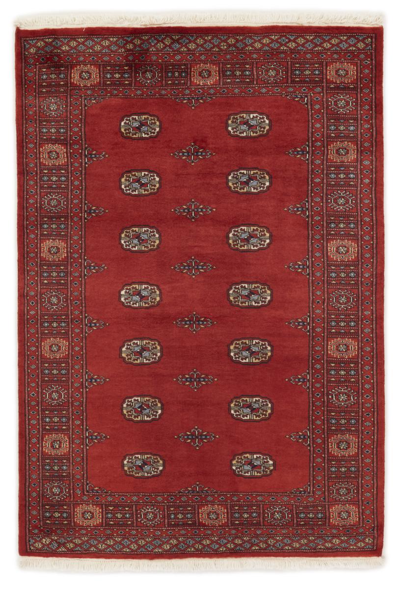 Pakistansk matta Pakistan Buchara 2ply 184x126 184x126, Persisk matta Handknuten