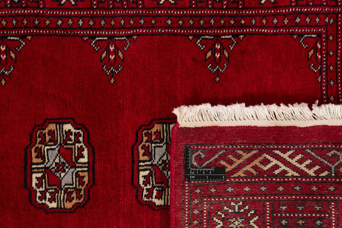 Pakistan Buchara 3Ply - 1
