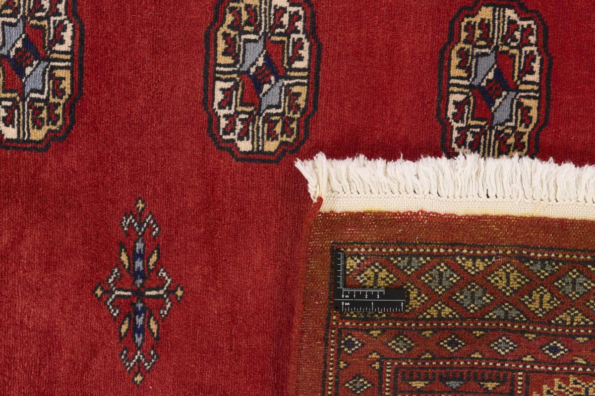 Pakistan Buchara 2ply - 1