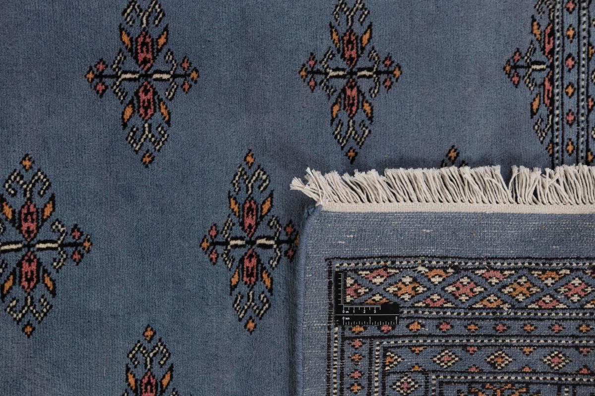 Pakistan Buchara 2ply - 1