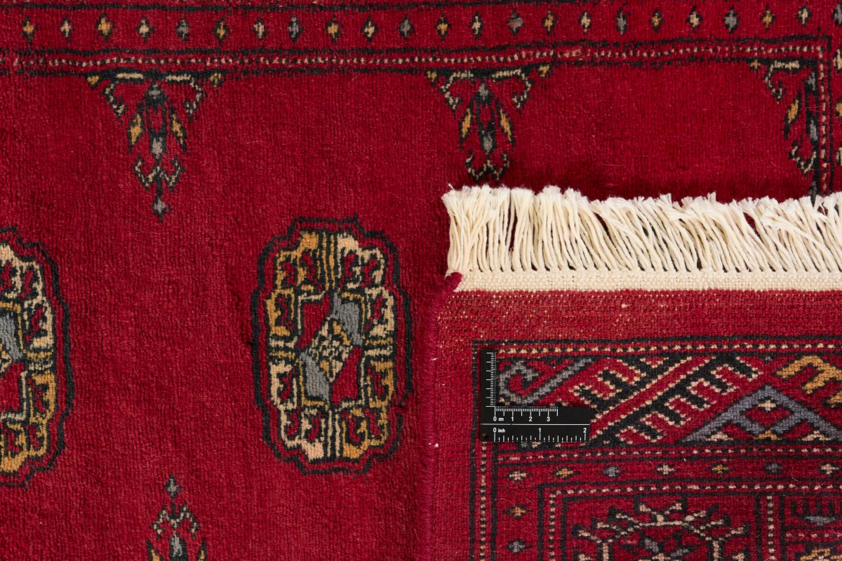 Pakistan Buchara 3Ply - 1