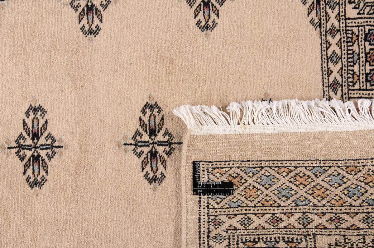 Pakistan Buchara 3ply - 1