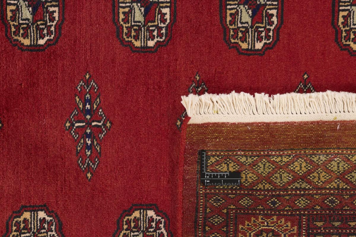 Pakistan Buchara 2ply - 1