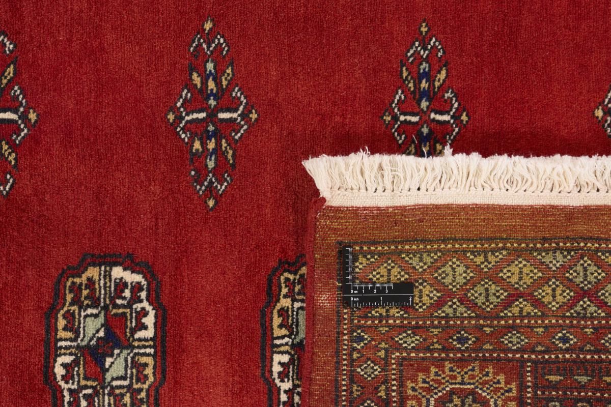 Pakistan Buchara 2ply - 1