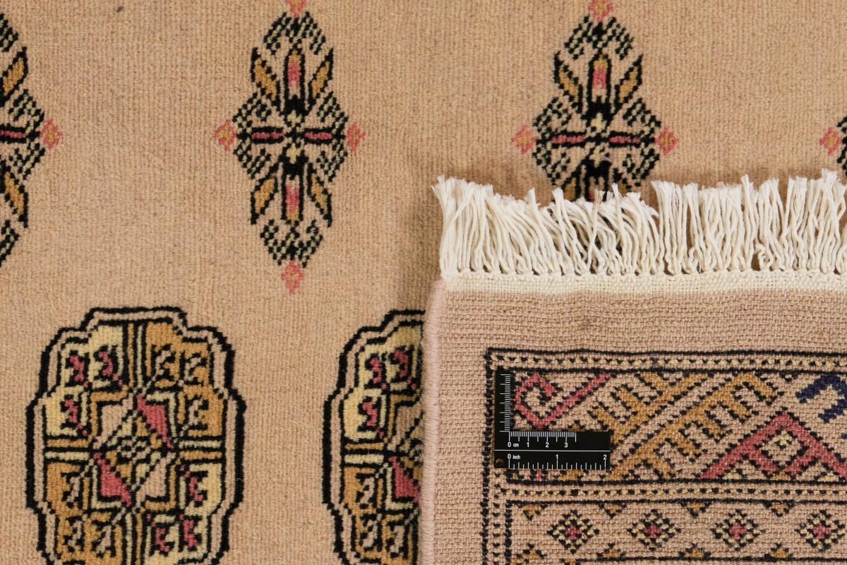 Pakistan Buchara 2ply - 1