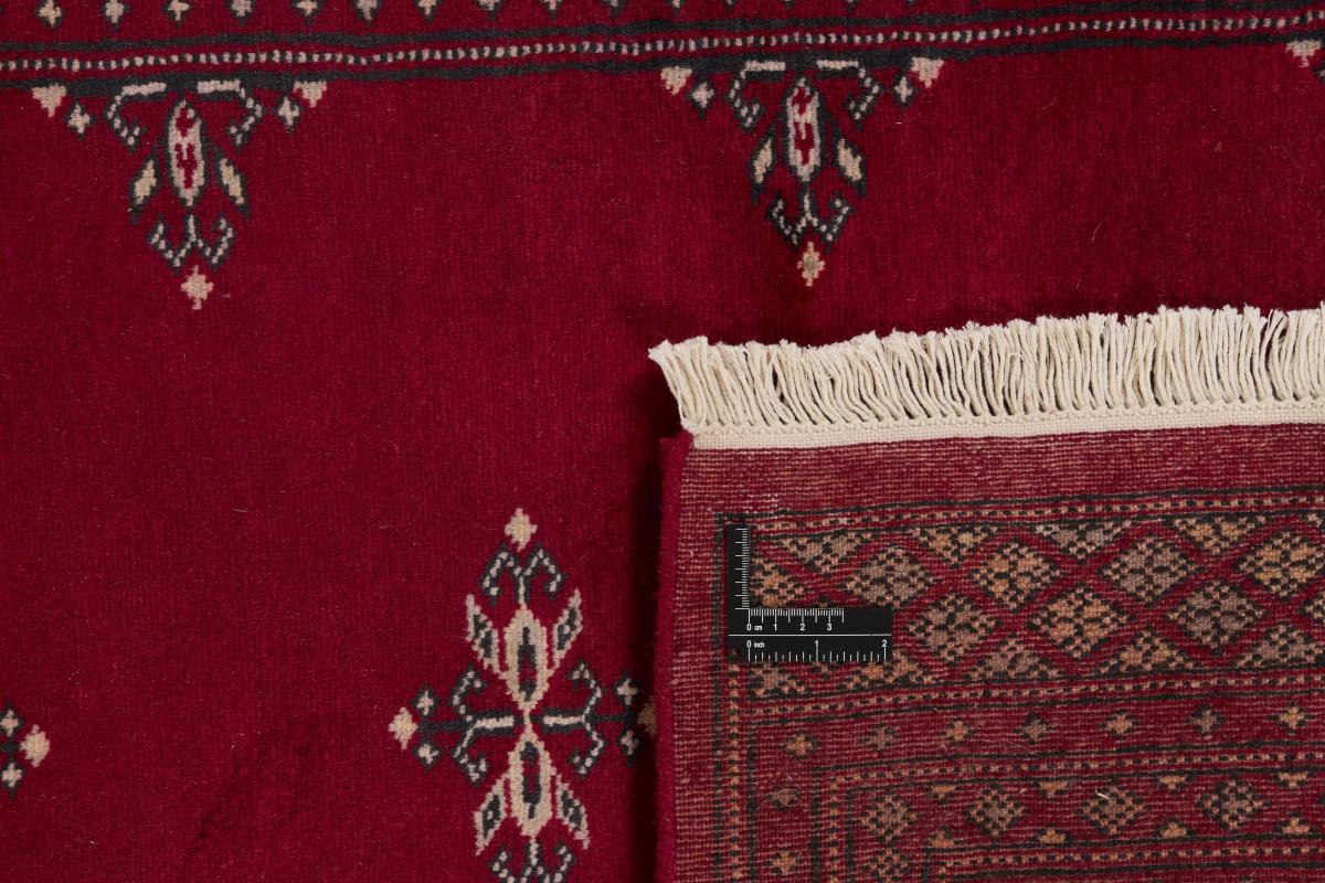 Pakistan Buchara 2ply - 1