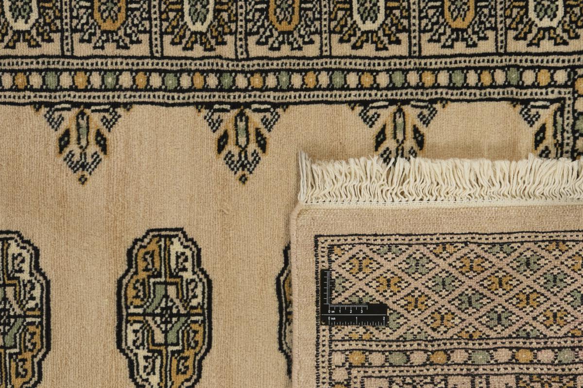 Pakistan Buchara 2ply - 1