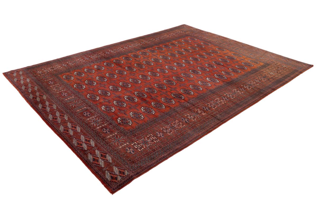 Pakistan Buchara - 1
