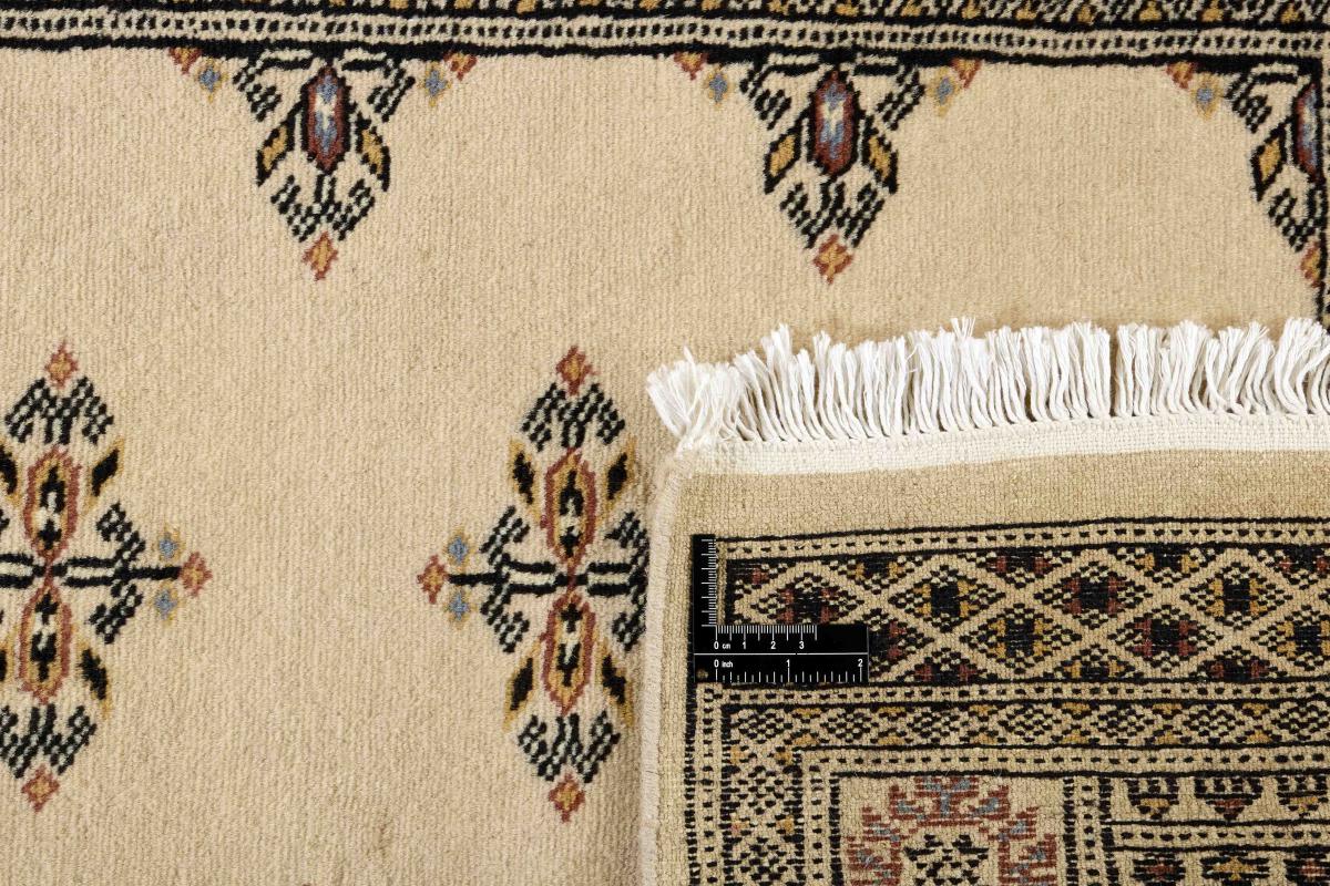Pakistan Buchara 2ply - 1