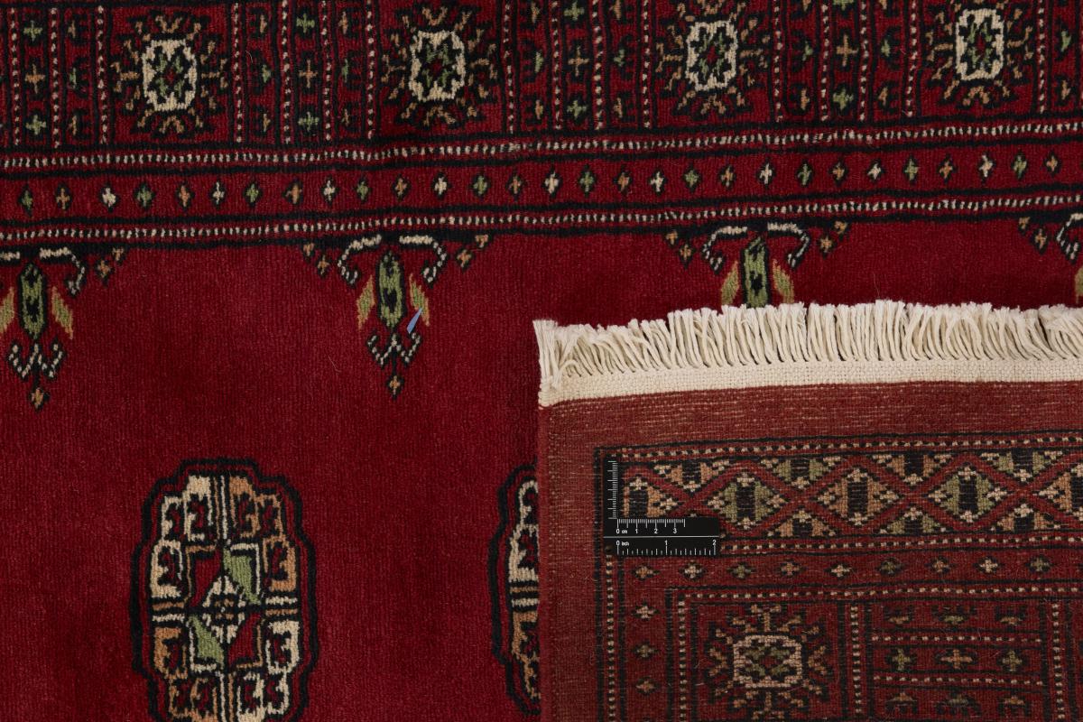 Pakistan Buchara 2ply - 1