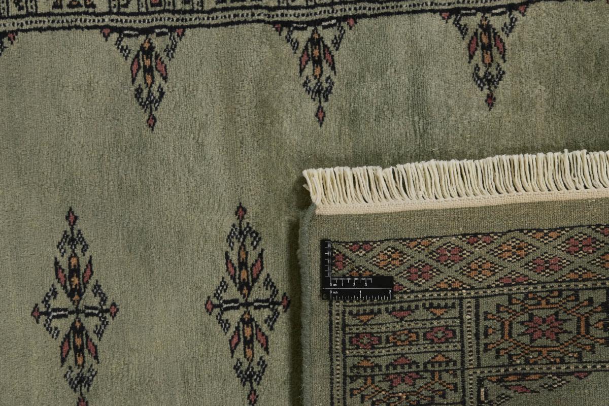 Pakistan Buchara 3ply - 1