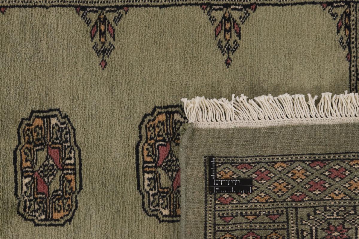 Pakistan Buchara 3ply - 1