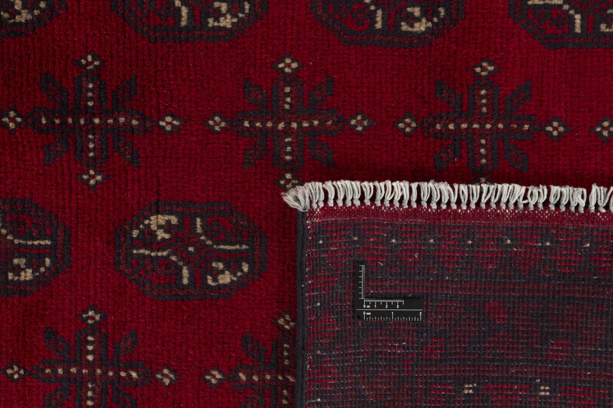 Afghan Akhche - 1