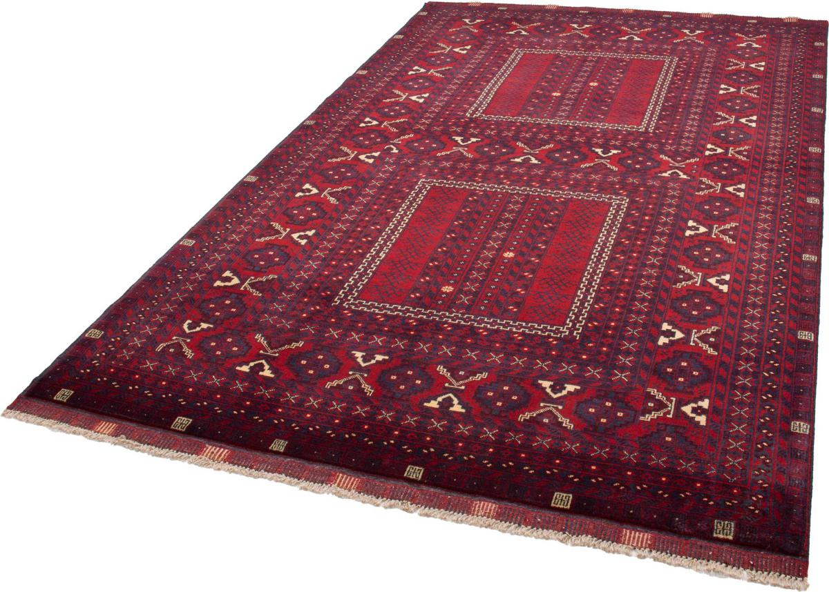 Afghan Mauri - 1