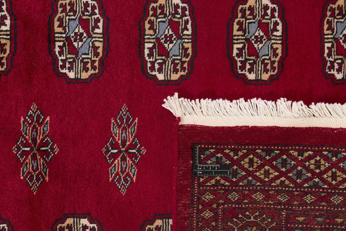 Pakistan Buchara 2ply - 1