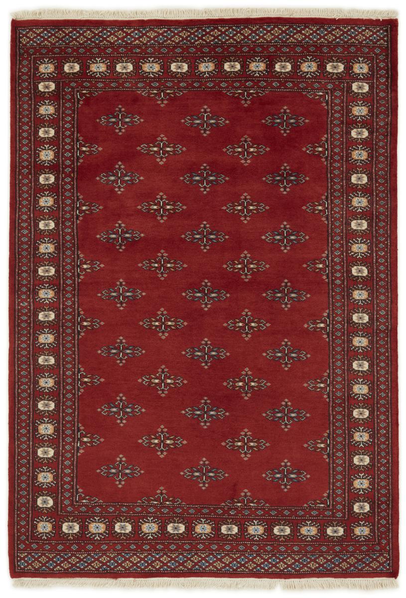 Tappeto pakistano Pakistan Buchara 2ply 196x135 196x135, Tappeto persiano Annodato a mano